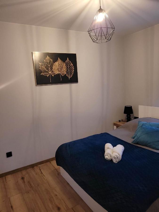 Szary Domek Janowice Wielkie Dış mekan fotoğraf
